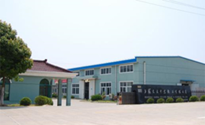 2006年